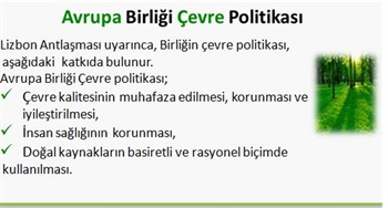 Avrupa Birliği Çevre Politikası